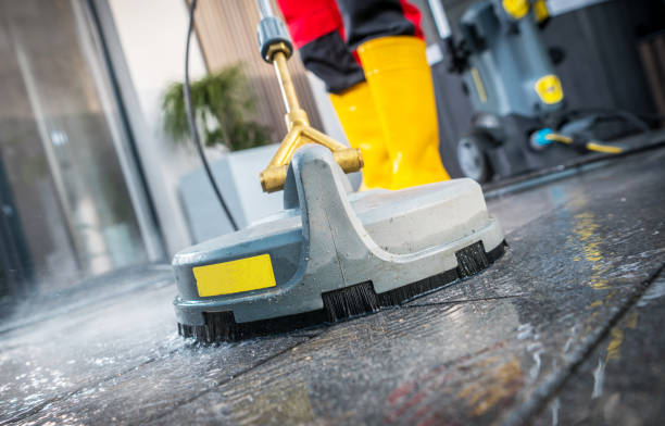 Best Roof Pressure Washing  in Coleraine, MN